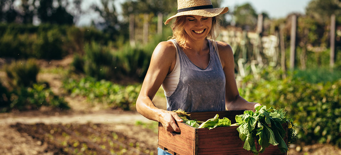 Le wwoofing : voyager autrement pour revenir aux sources 